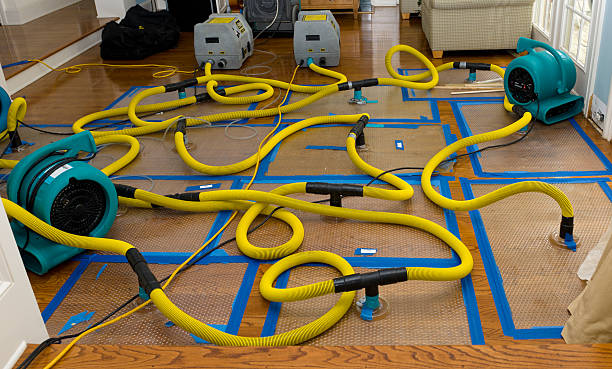 Professional Storm Water Damage Restoration technician working in Hansville, WA
